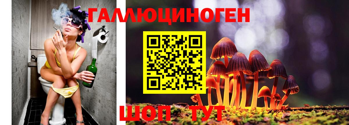 Галлюциногенные грибы Psilocybe  Псилоцибиновые грибы Magic Shrooms  Бахчисарай 