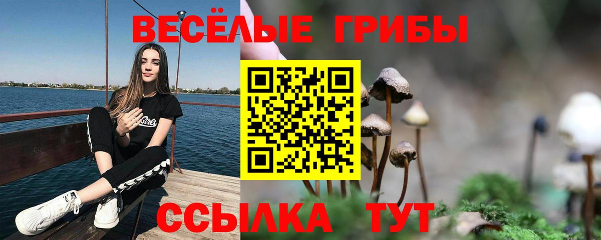 Псилоцибиновые грибы Psilocybe Бахчисарай